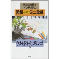 ウメモドキ・ヒメリンゴ (図解 群境介のミニ盆栽―野山の自然をインテリアに) 