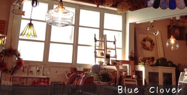 Blue Clover