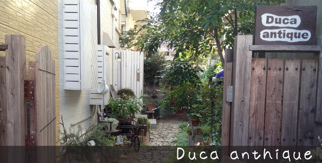 Duca anthique