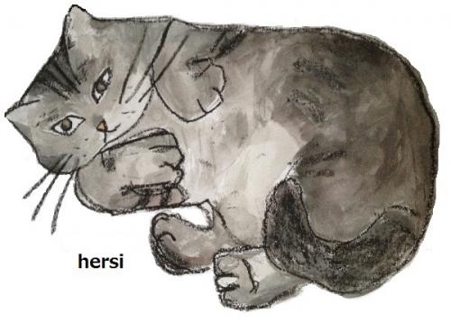 おかしな猫のポストカード hersi