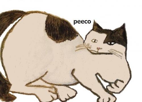 おかしな猫のポストカード peeco