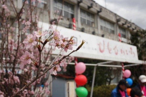 「桜、手仕事、出会いの広場　ひとひらいち」出店者募集!!